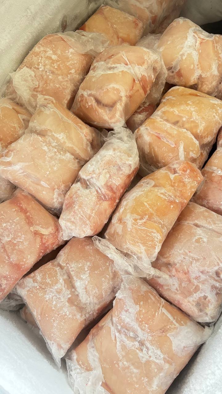 Distributor Dada Ayam Fillet Magelang, Purworejo, dan Temanggung