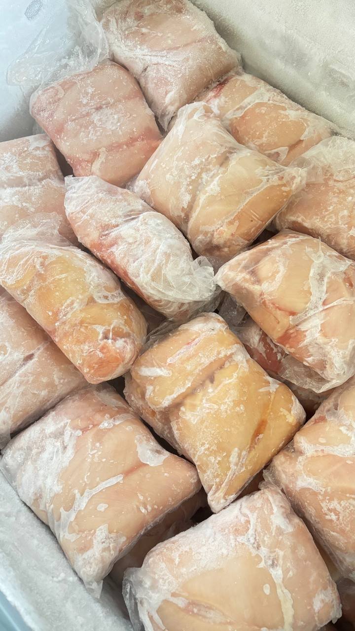 Mengapa HORECA di Semarang Pilih Kami untuk Kebutuhan Dada Ayam Fillet?