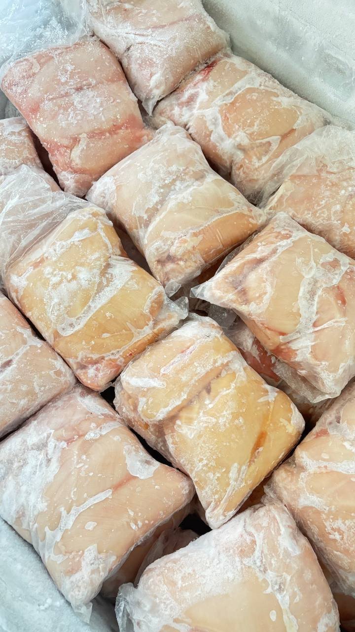 Ayam Fillet Segar vs Beku: Mana yang Lebih Cocok untuk Restoran Anda?
