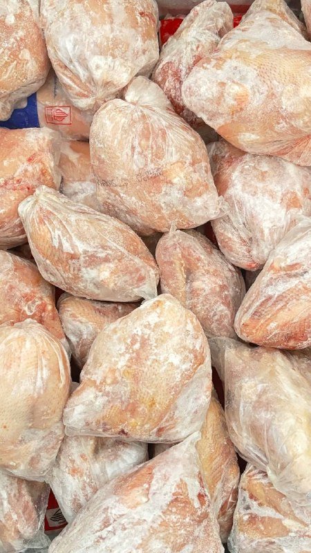 Distributor Dada Ayam Fillet Kudus, Jepara, dan Demak: Solusi HORECA Jawa Tengah Utara